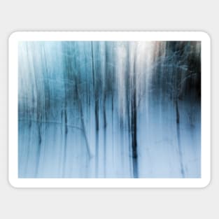 Sleeping Aspen Winter Woods Sticker